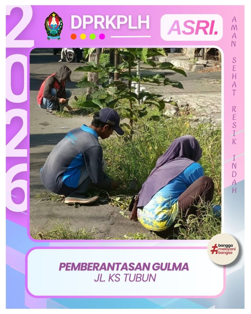 Jaga Estetika Kota, Petugas RTH DPRKPLH Laksanakan Pemberantasan Gulma di Jl. KS Tubun