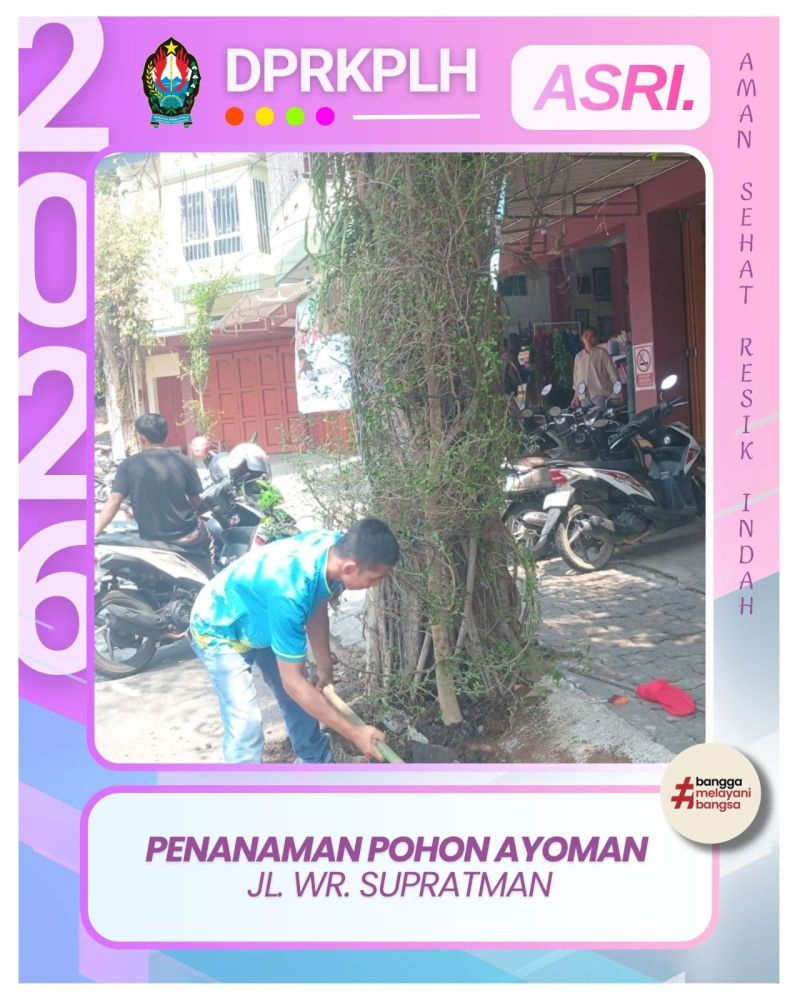 DPRKPLH Temanggung Gencarkan Penanaman Pohon Ayoman Guna Jaga Kesejukan Lingkungan