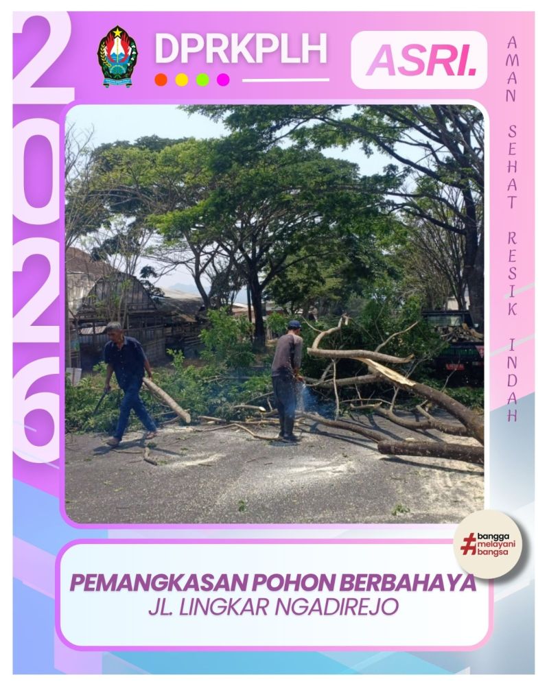 Antisipasi Bahaya, Bidang Pertamanan DPRKPLH Lakukan Pemangkasan Pohon di Kawasan Ngadirejo
